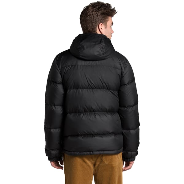 THE NORTH FACE Men’s Sierra Down Parka