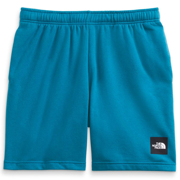 THE NORTH FACE Men’s Never Stop Shorts