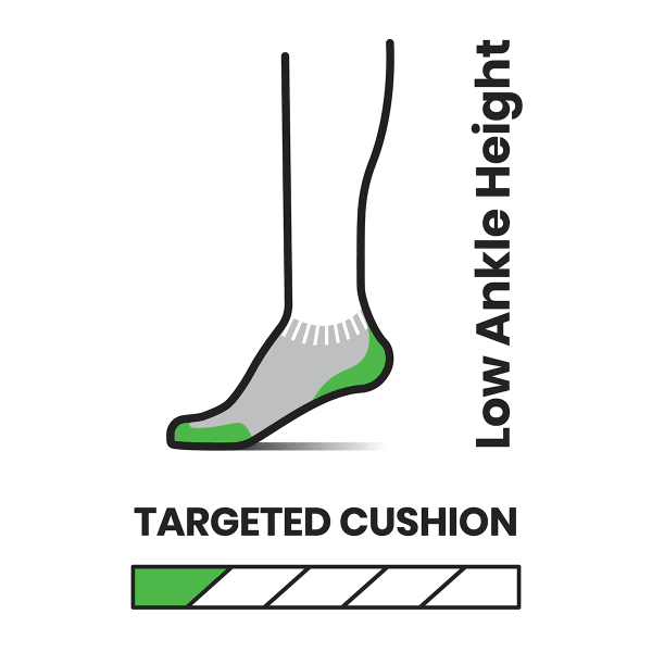 SMARTWOOL Women's Run Targeted Cushion Stripe Low Ankle Socks