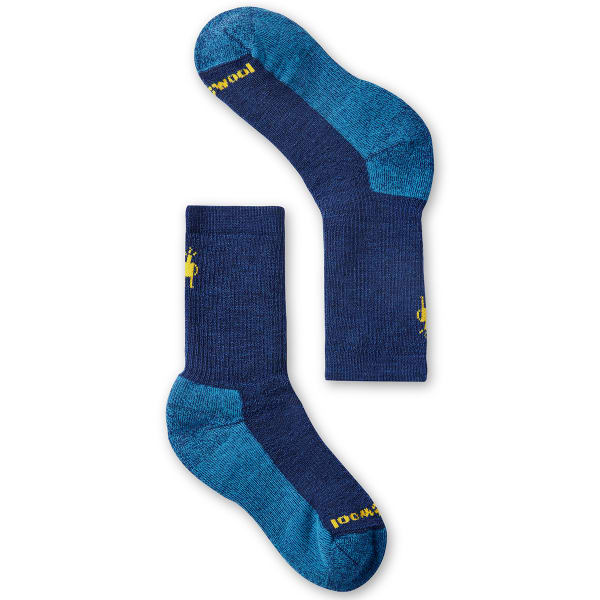 SMARTWOOL Kids' Hike Full Cushion Crew Socks