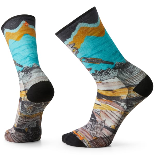 SMARTWOOL Men's Bike Zero Cushion Wolf Print Crew Socks