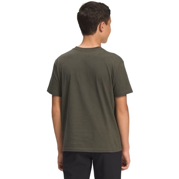 THE NORTH FACE Boys' Short-Sleeve Graphic Tee