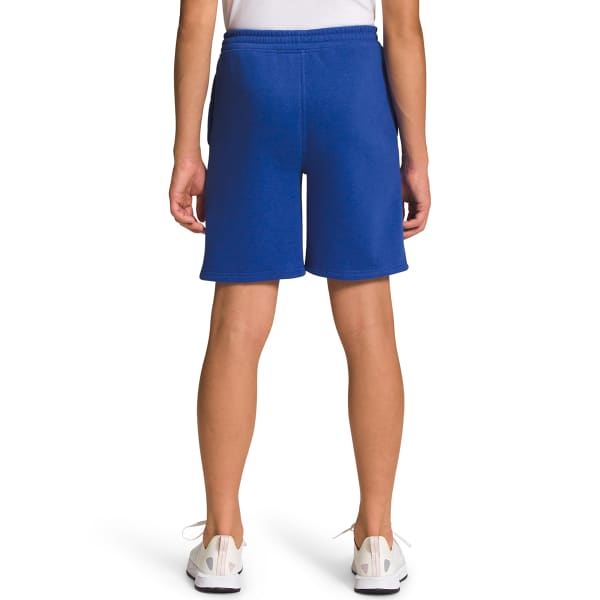 THE NORTH FACE Boys’ Camp Fleece Shorts