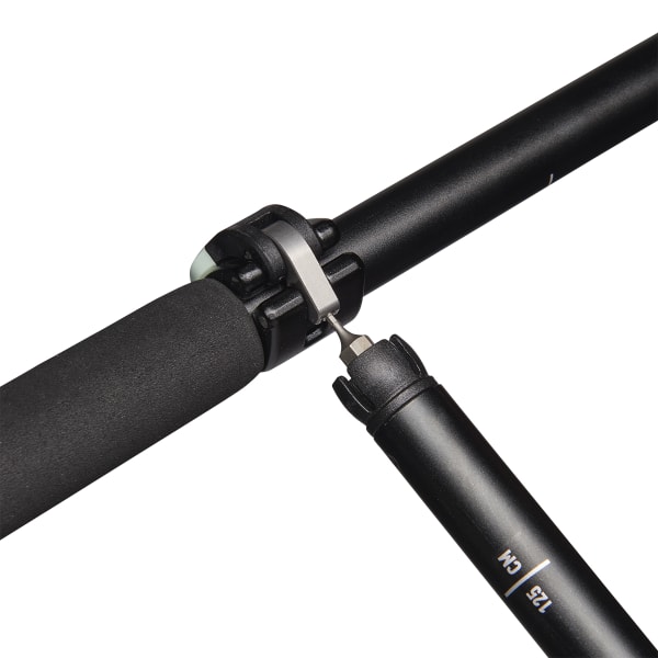 BLACK DIAMOND FLZ Trekking Poles