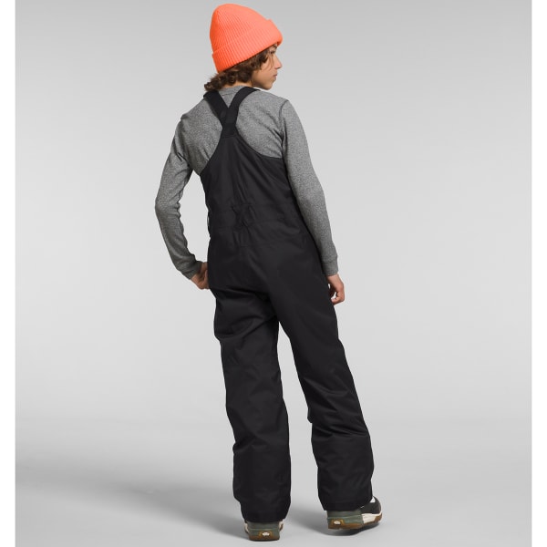 THE NORTH FACE Big Kids’ Freedom Insulated Bibs