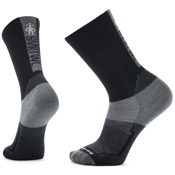 SMARTWOOL Men's Bike Zero Cushion Ribbed Crew Socks