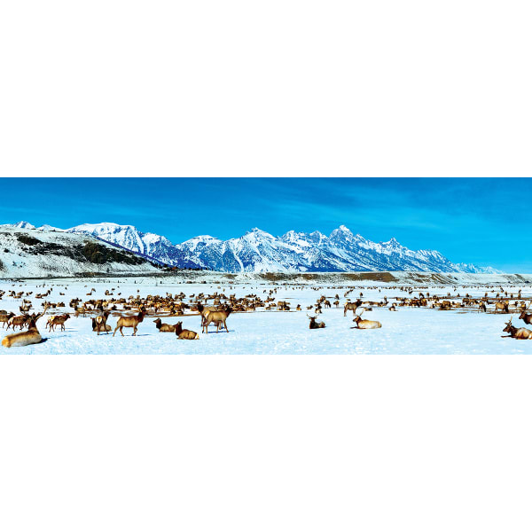 MASTERPIECES PUZZLE CO, Elk Refuge 1000 Piece Puzzle