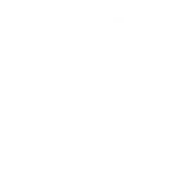 Castle de Guntur
