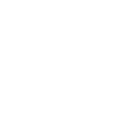 PSSI logo