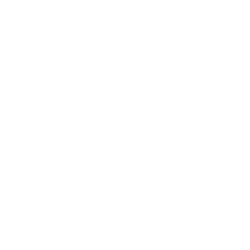 Vidio logo