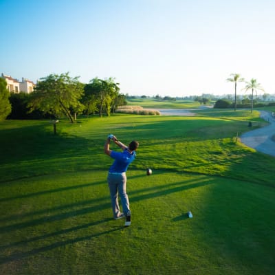 Los Alc�zares Destino