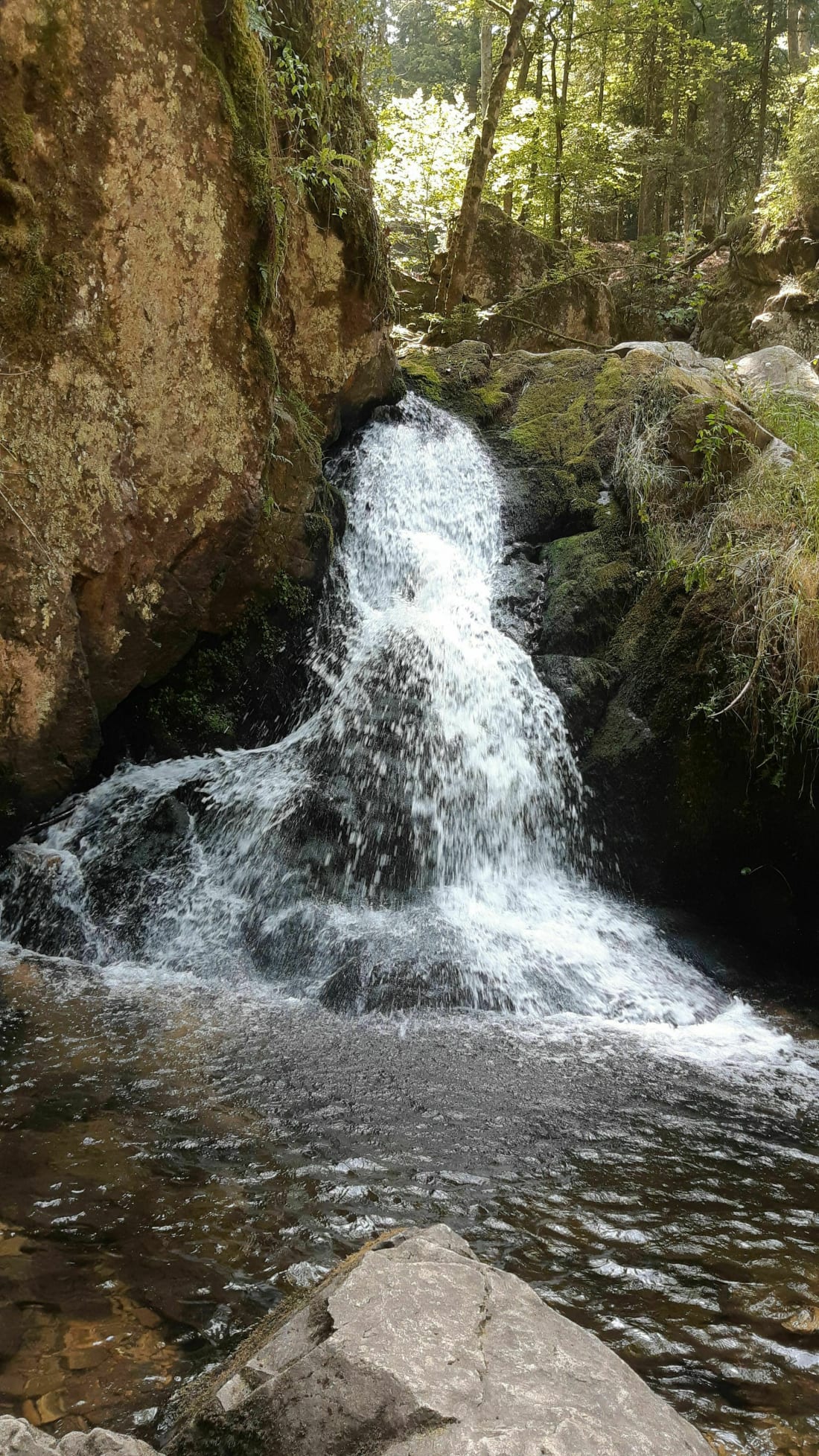 Grande cascade à la petite cascade du Tendon - Le Tholy