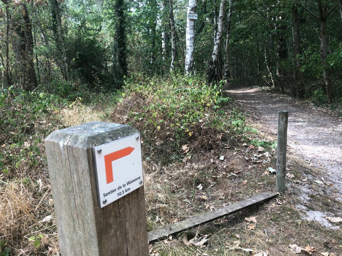 Sortie maritime et forestière: Sentier de Warenne - Hardelot - Condette
