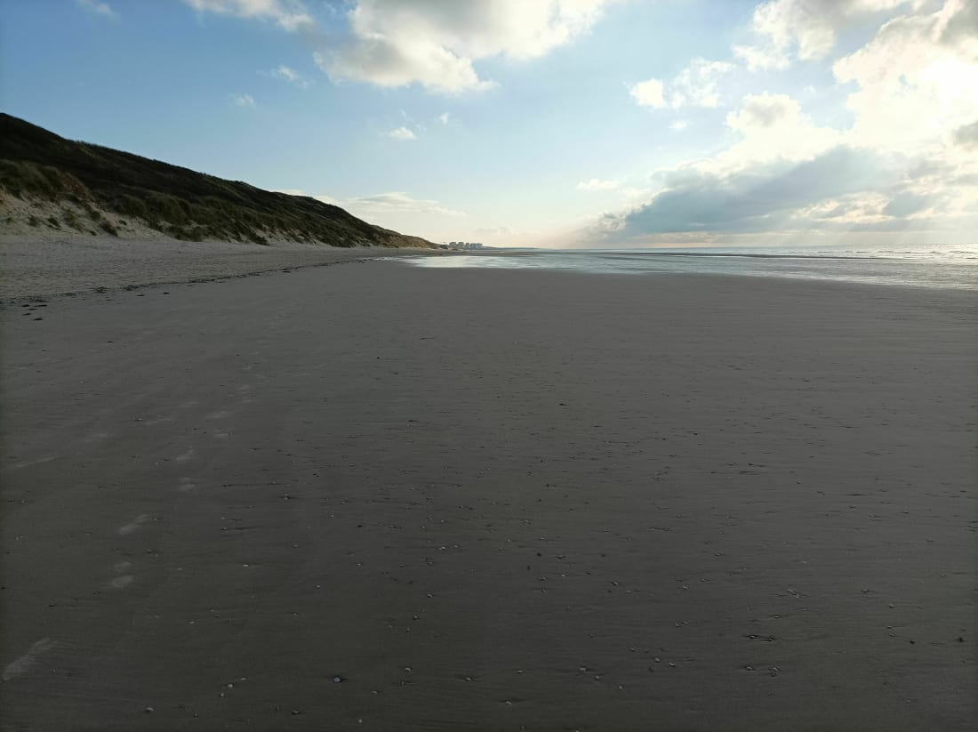 D'Equihen à Hardelot. Entre forêt, dunes et plage. - Neufchâtel-Hardelot