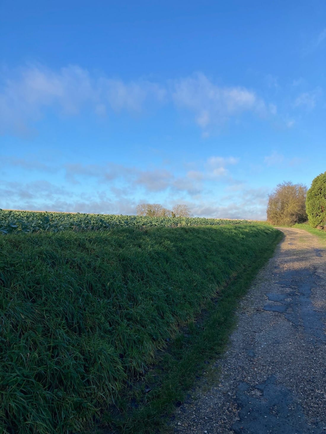 Boucle de Québec à Cagny - Amiens