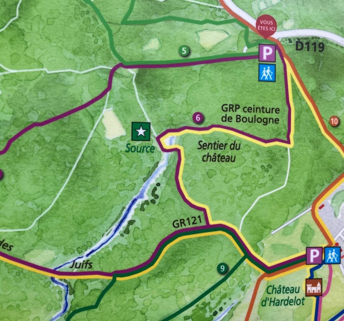 Le sentier des ifs dans la forêt d’Ecault - Saint-Étienne-au-Mont