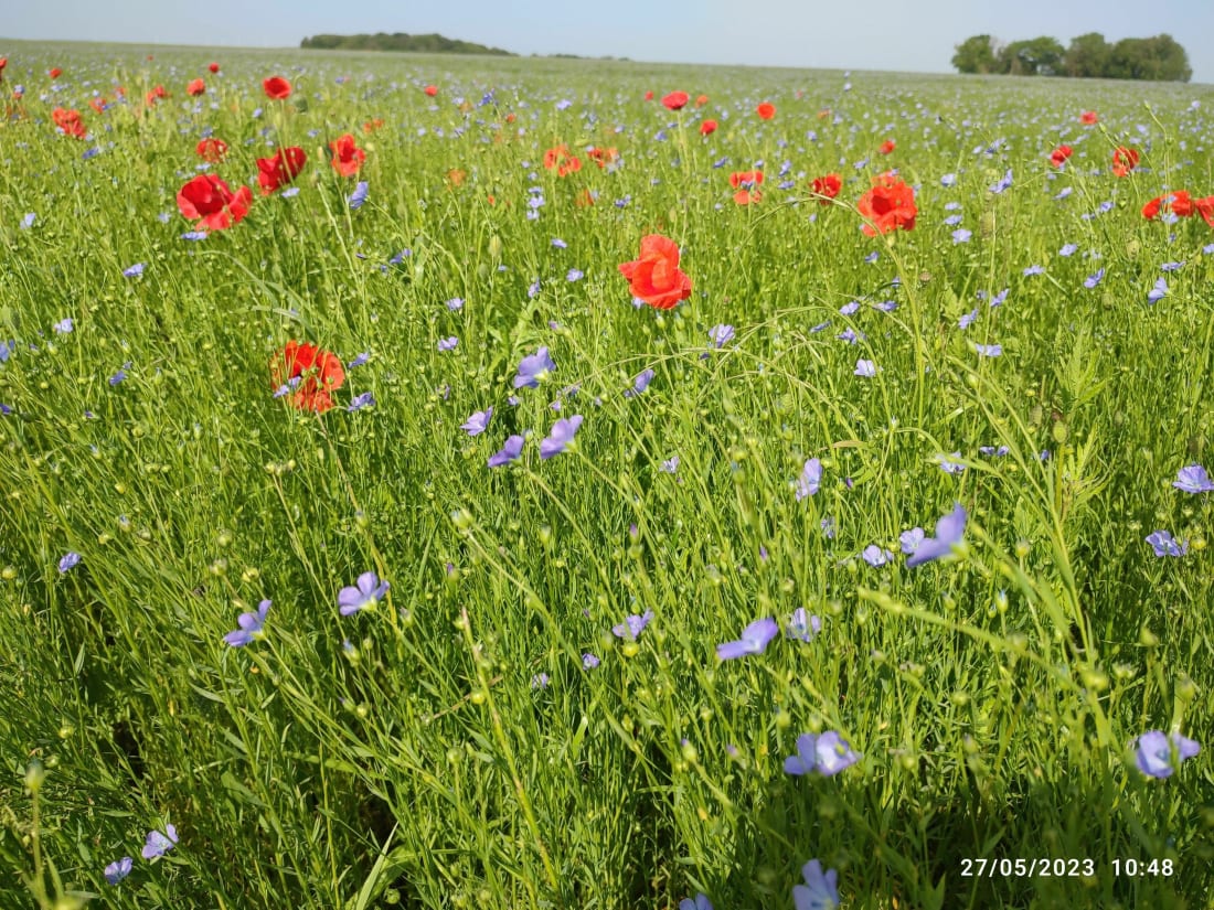 Boucle entre Plessier-Rozainvillers et la vallée de l'Avre - Le Plessier-Rozainvillers