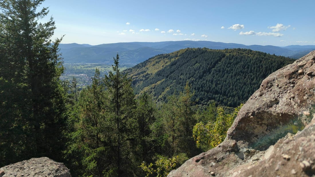 Sur les hauteurs d'Oberhaslach - Still