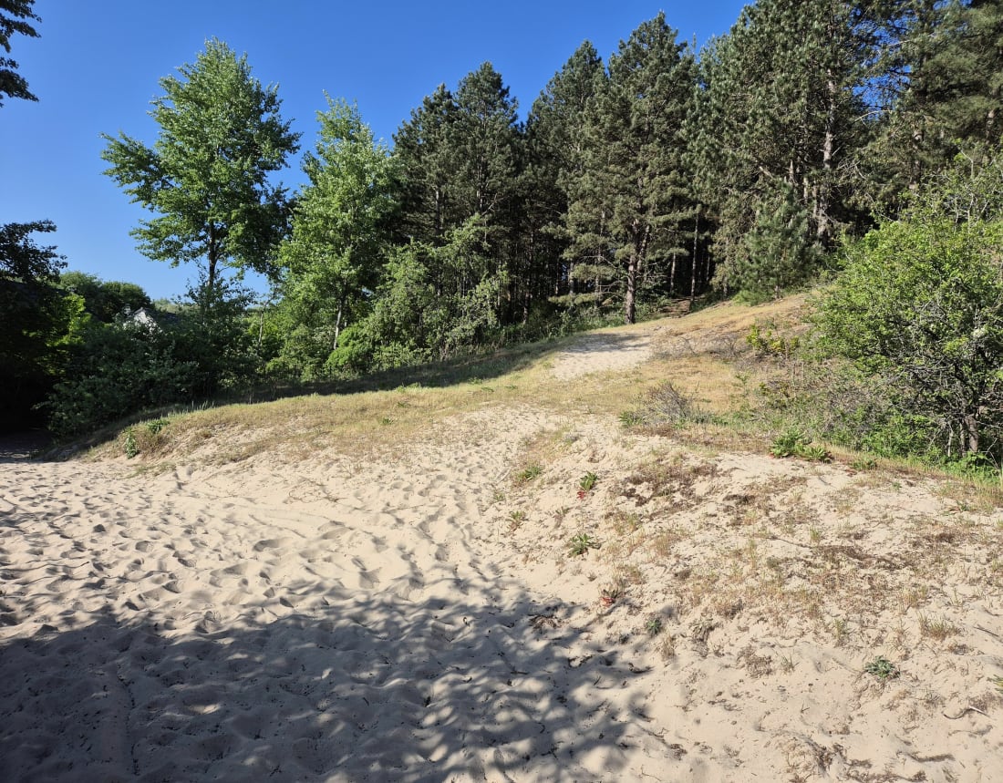 Sentier de la forêt autour de Merlimont - Merlimont