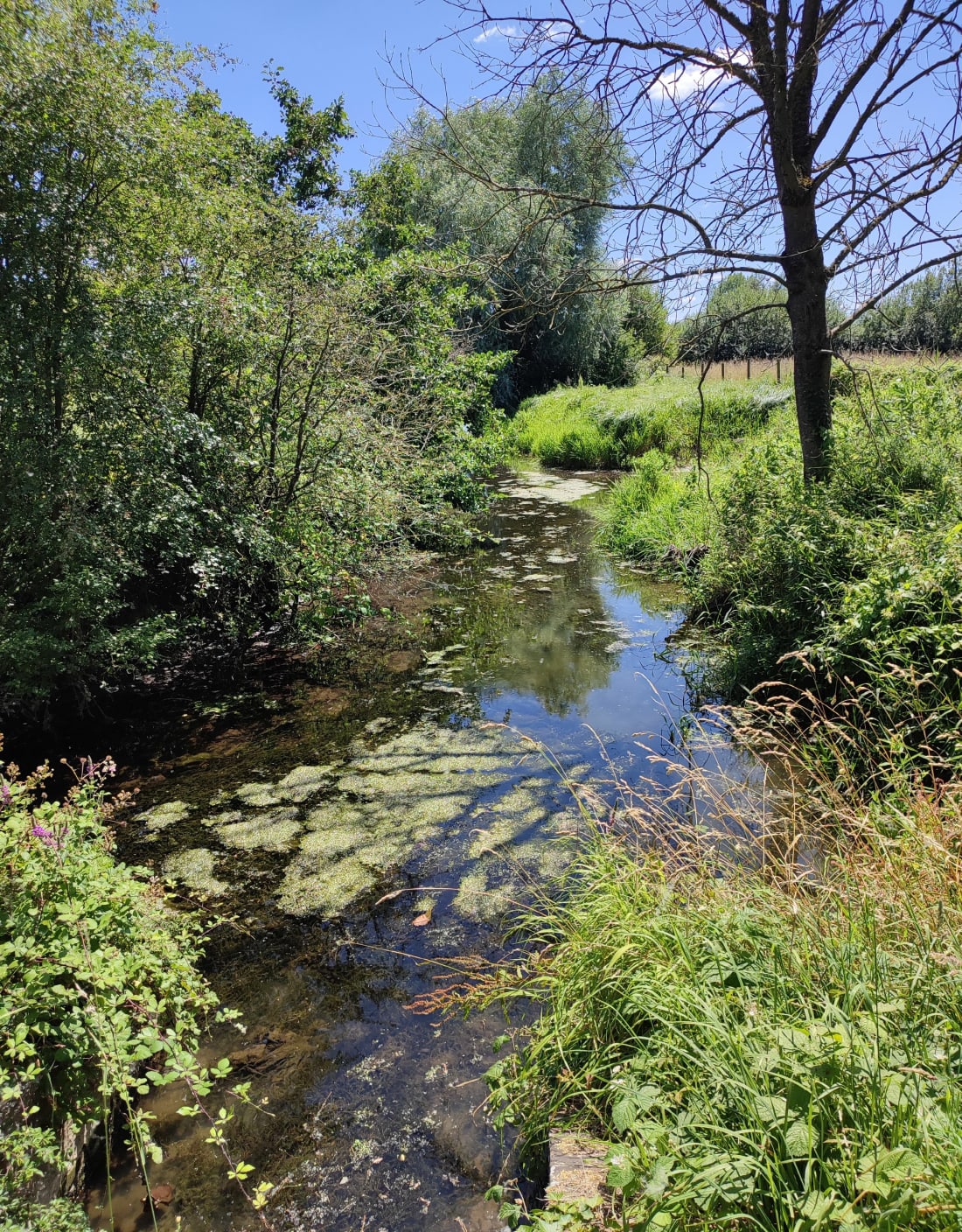 Du camping Paradis à travers les chemins et rus - Rang-du-Fliers