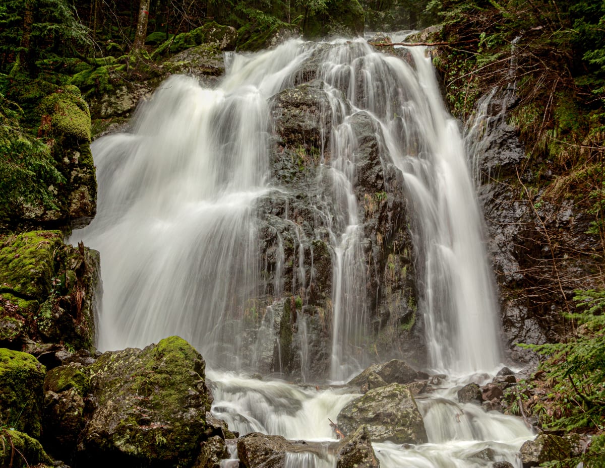 Circuit de la cascade de la Goutte des Saules