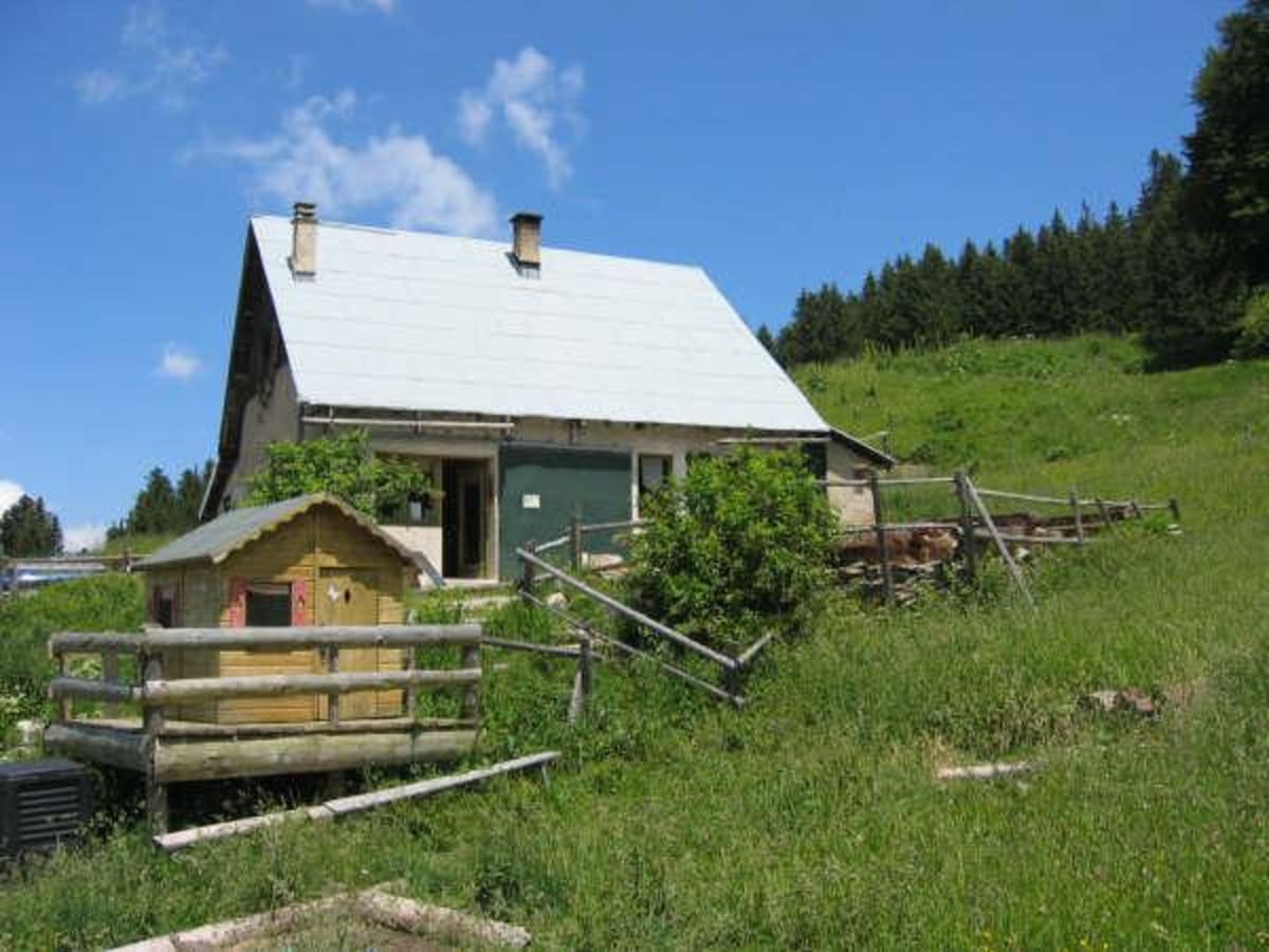 Au coeur du Vercors et des forêts des Feynets - Autrans-Méaudre en Vercors