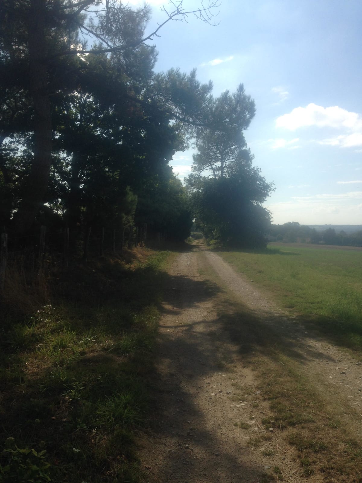 Menhir de Plaudren et excursion extraordinaire dans le bocage - Clarisse