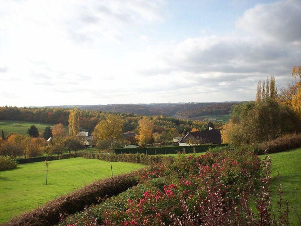 Marcher en forêt de Lyons et étreindre un hêtre - Les Hogues