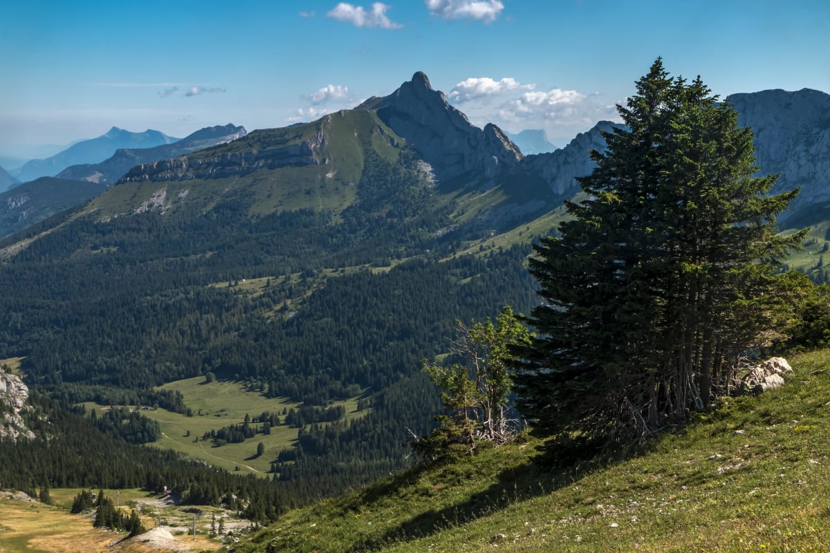 Clair de Vercors et velours de paysages - Lans-en-Vercors