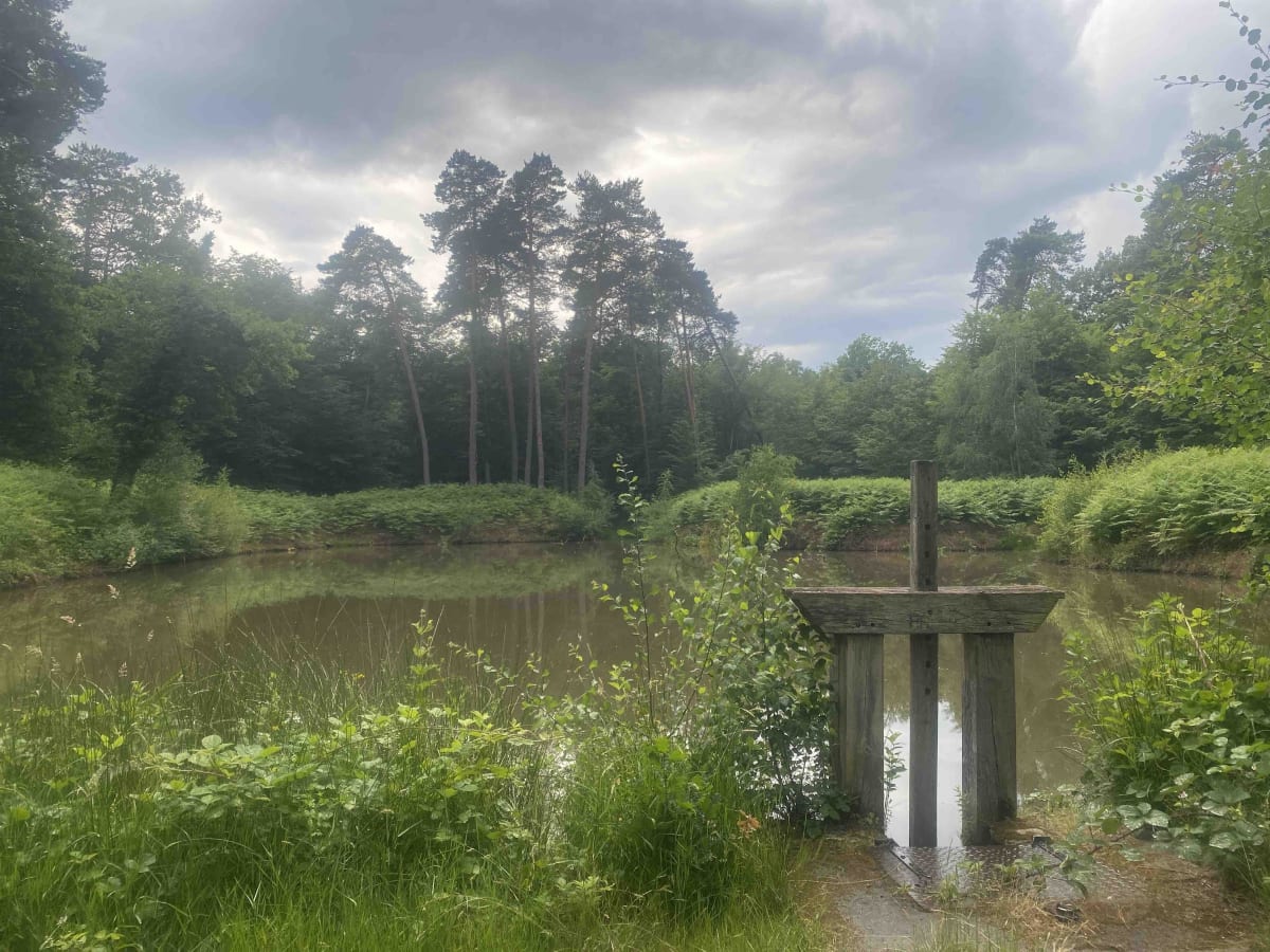 Magnifique forêt d'Orléans et ses fontaines magiques - Jean-marie