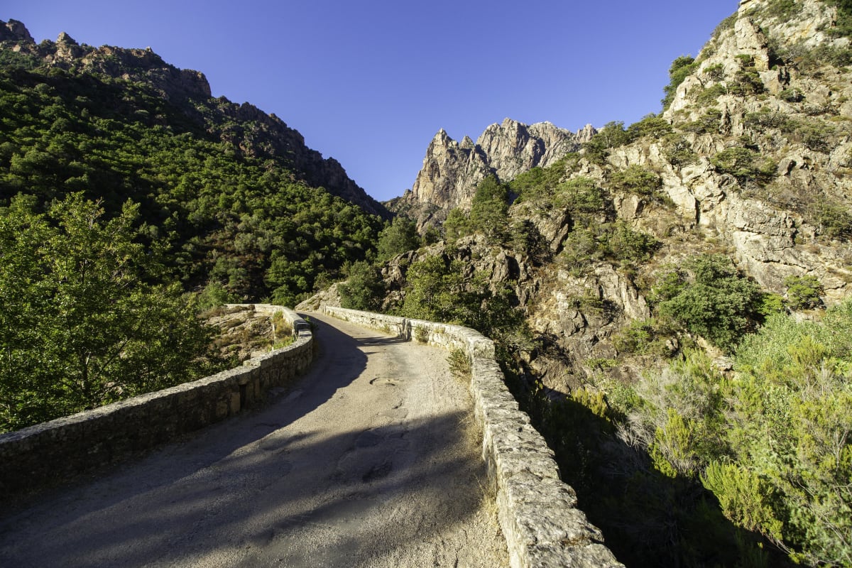 Gorges de Spelunca et cœur de Corse - Ota