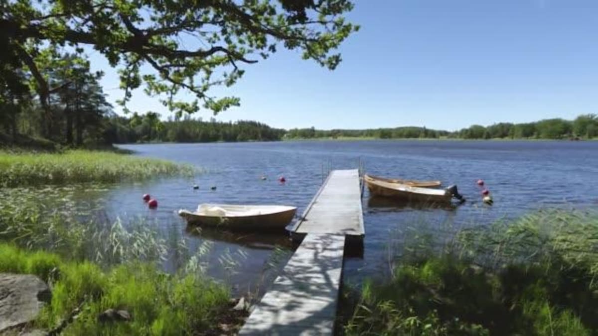 Waterwonderen en rustgevende vijvers rond Avensan - Avensan