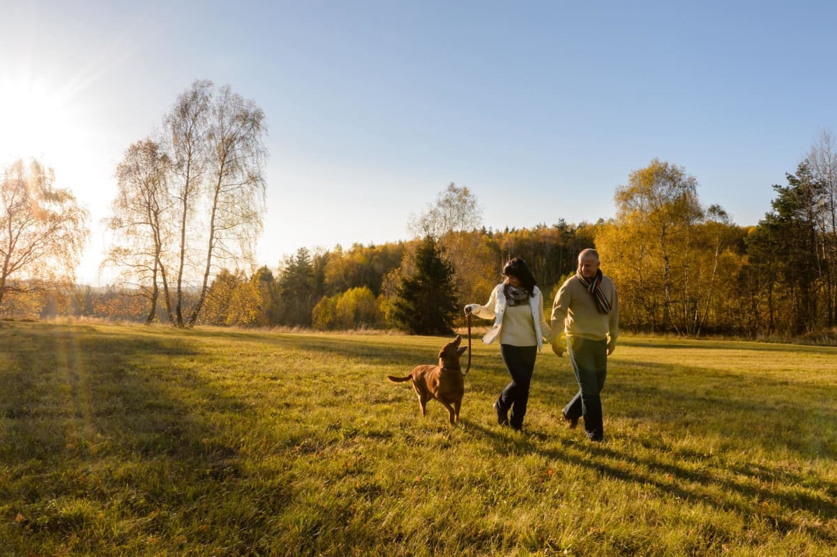 Le vallon de Vaucouleurs au départ de Vert - Vert