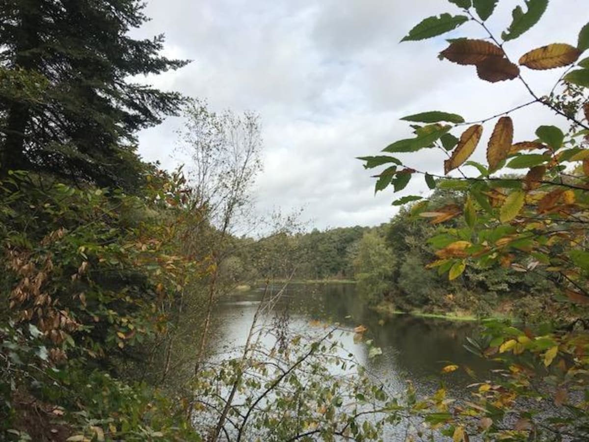 Étang de Ty Mat et barrage historique - Inzinzac-Lochrist