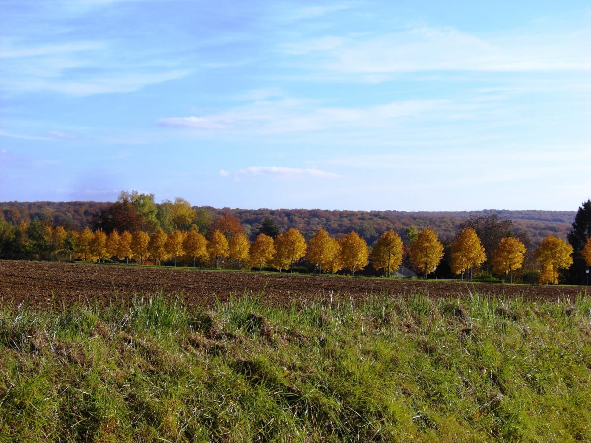 Saint-Pierre-Aigle et sortie cool à l'orée de la forêt de Retz - Saint-Pierre-Aigle