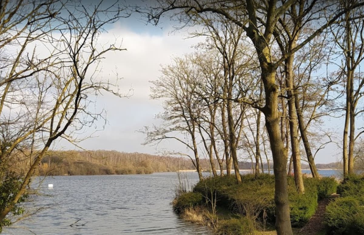 Etangs de Condé-sur-l'Escaut et chant des oiseaux - Condé-sur-l'Escaut