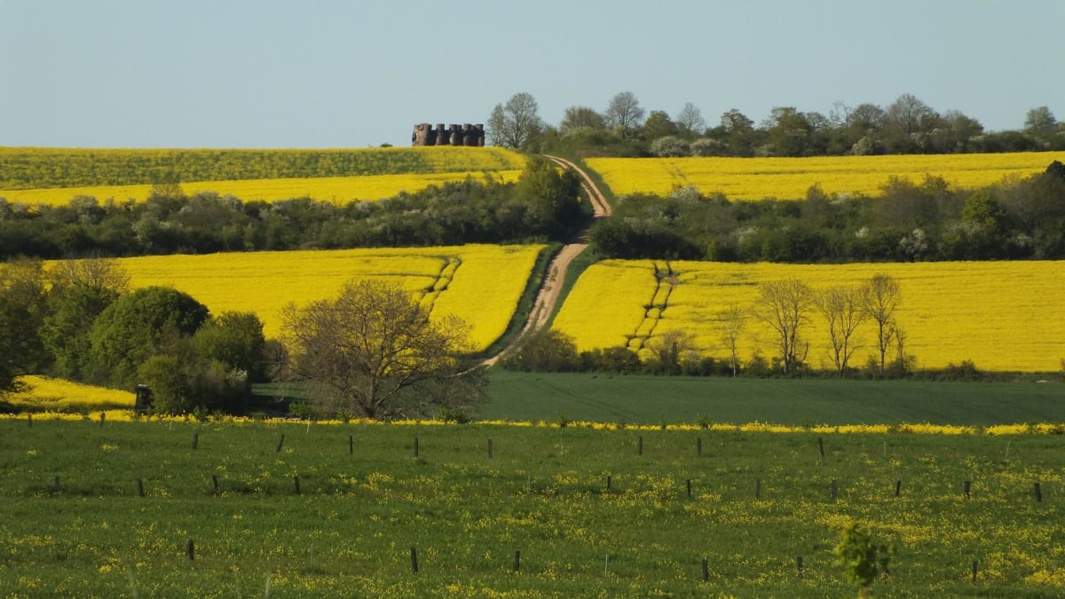 Le bocage vendéen depuis La Gaubretière - La Gaubretière