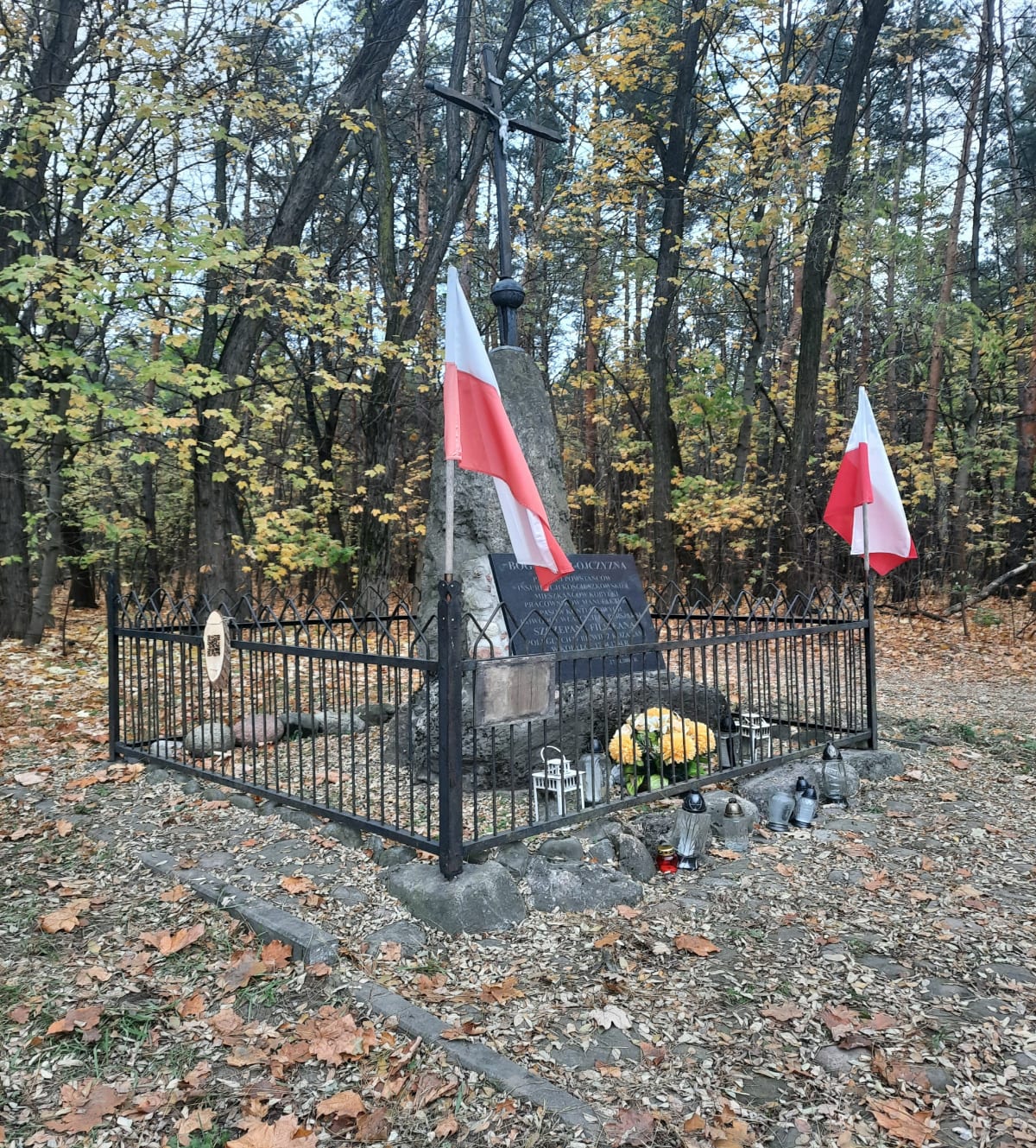 Po lasach kobyłkowskich - Kobyłka