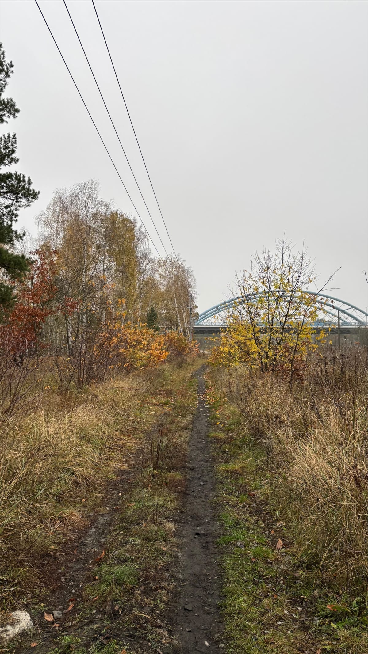 Leśna Pętelka - Bydgoszcz