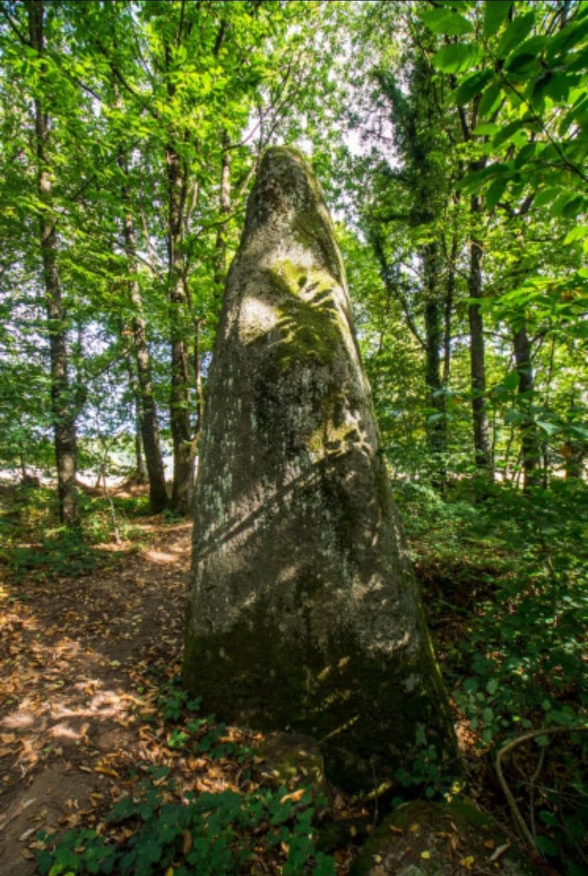 Escapade autour de Saint-Guénaël et douceur champêtre - Saint-Guénaël