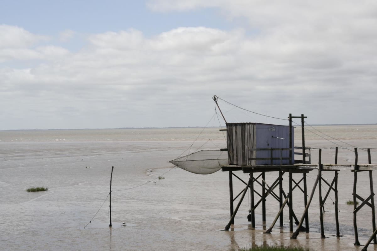 Balade autour de Mortagne-sur-Gironde et cœur des coteaux - Mortagne-sur-Gironde