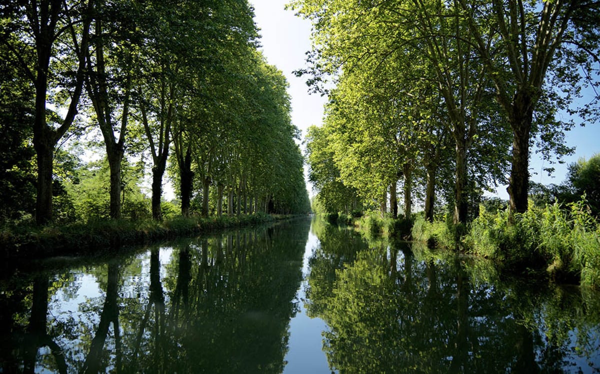 Longer le Canal de la Garonne et croquer une tomate juteuse - La Réole