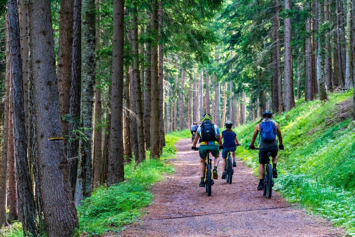 Crèvecœur-le-Grand et sa charmante coulée verte à vélo - Crèvecœur-le-Grand