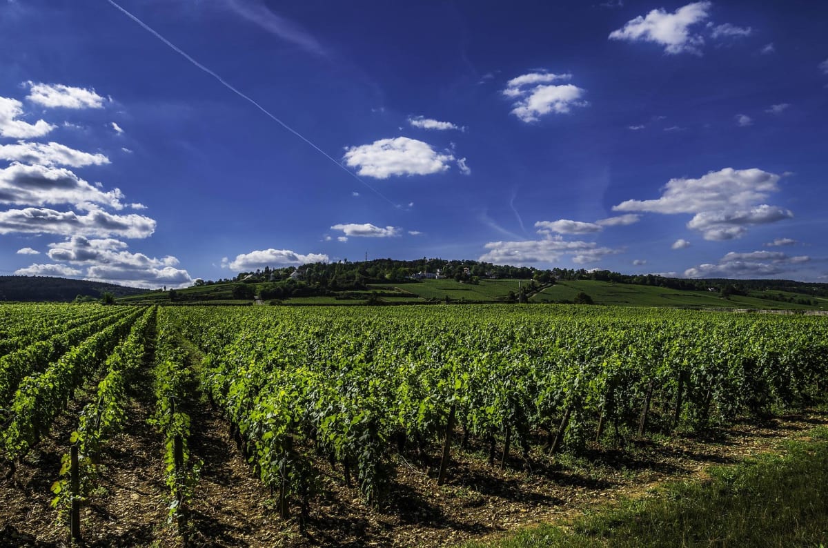 Pédalage vers la plus petite commune de France - Sauveterre-de-Guyenne