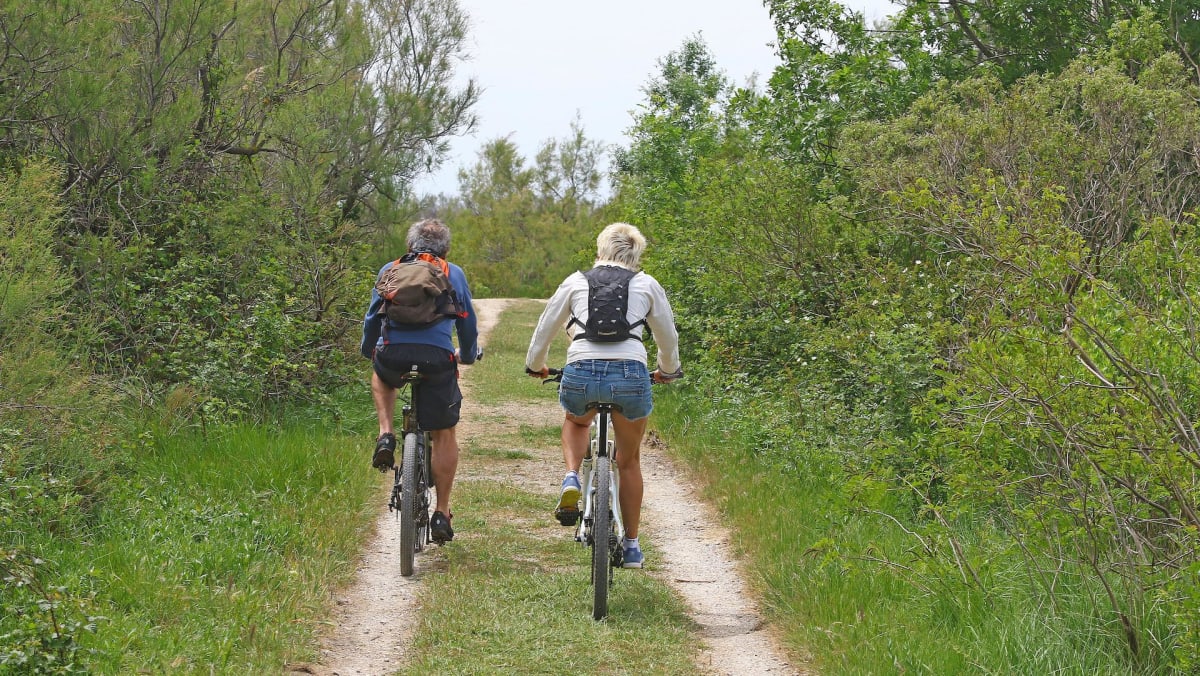 Brignais à vélo, dans le bois Arnaud et autour du Garon - Brignais