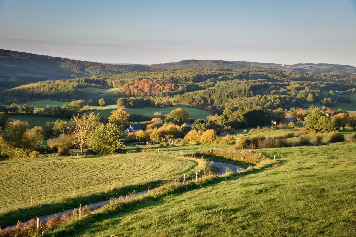 Découverte nature et patrimoine autour de Sedan - Sedan