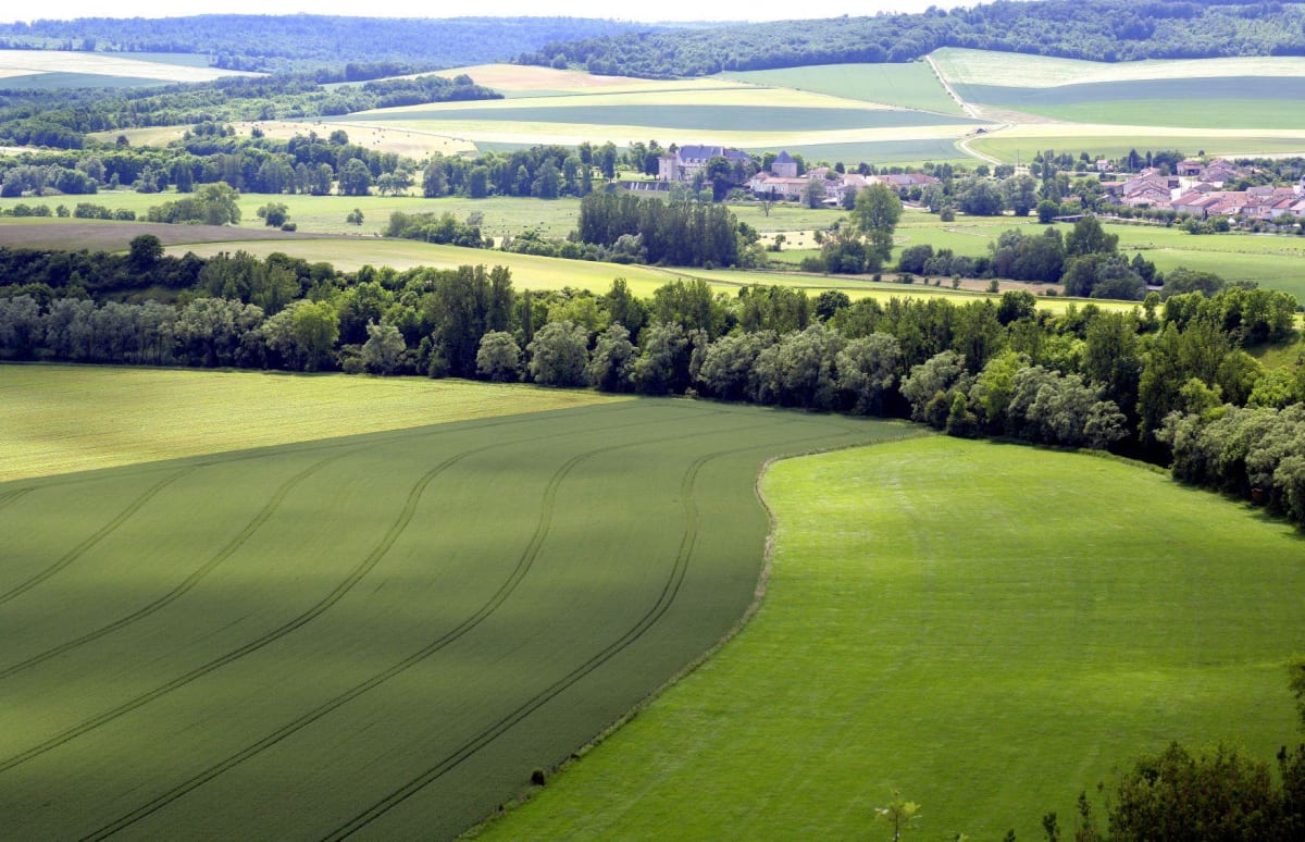 Panoramas sur la Meuse : de l'or en Bar - Cheveuges