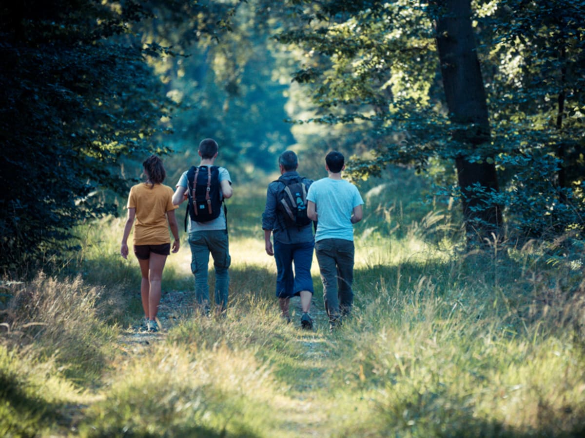 Des bords de Seine à l'orée des bois, il n'y a qu'un pas - Normandie
