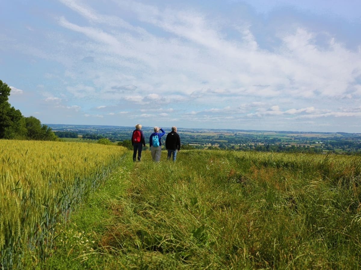Elbeuf-en-Bray, chemin du Camp Caillot - Elbeuf-en-Bray