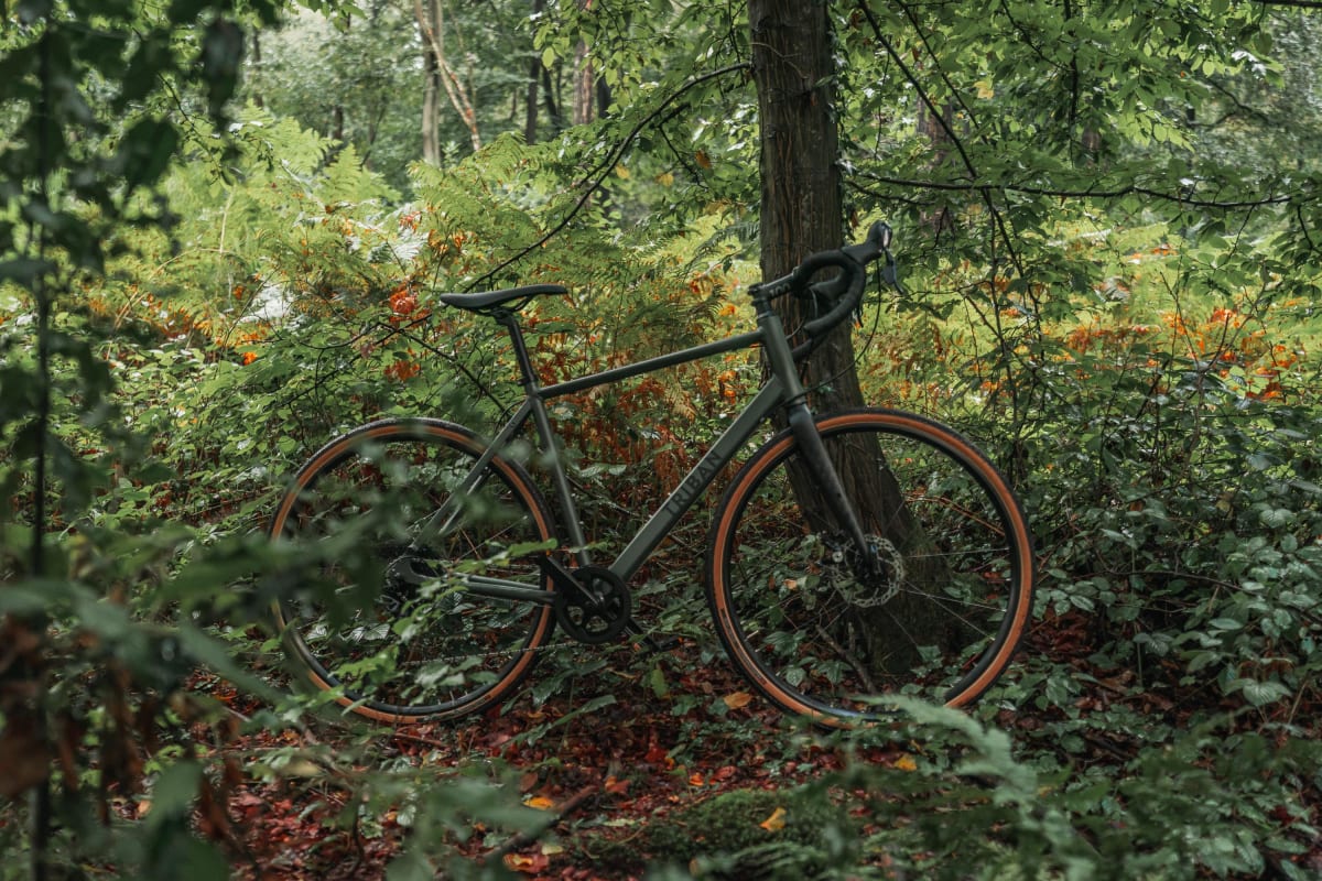 De la forêt aux bords de Seine d'un Trait à VTT - Le Trait